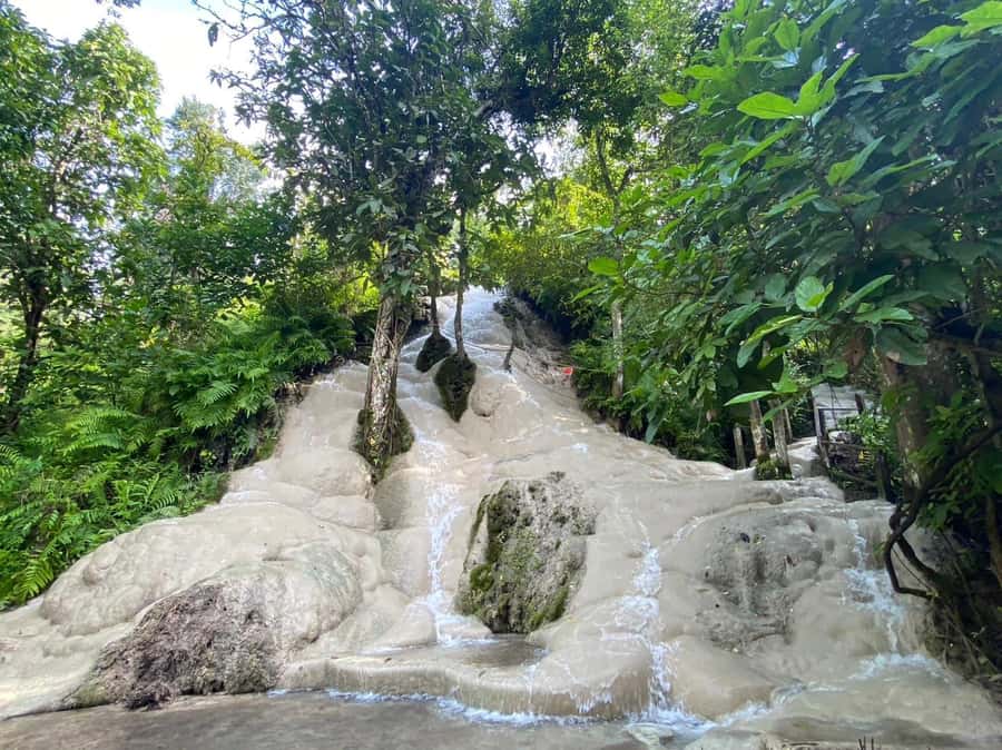 Chiang Mai: Doi Suthep, Orchid Farm and Waterfall with Lunch - Key things to know before you go