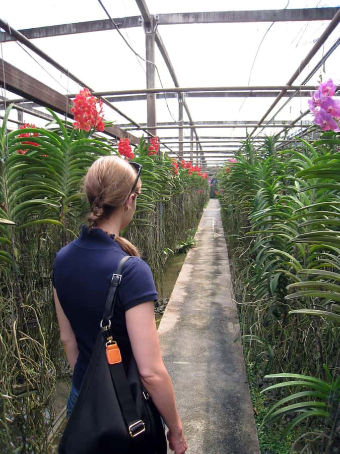 Chiang Mai: Doi Suthep, Orchid Farm and Waterfall with Lunch - Wat Pha Lat: the quick hit at the hidden temple