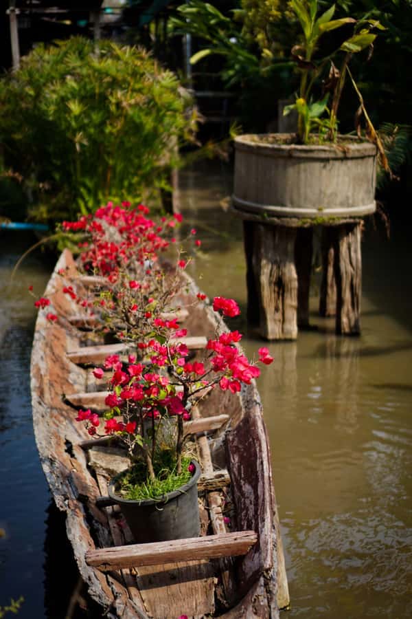 Chiang Mai: Doi Suthep, Orchid Farm and Waterfall with Lunch - Bua Tong Sticky Waterfalls: climbing and swimming time