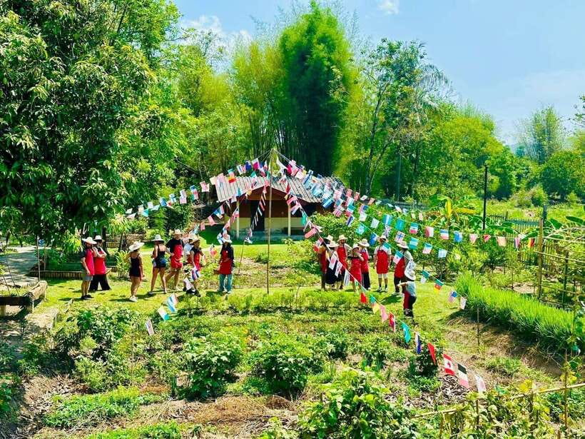 Chiang Mai: Half Day Cooking Class at Organic Farm - Key Things To Know Before You Go