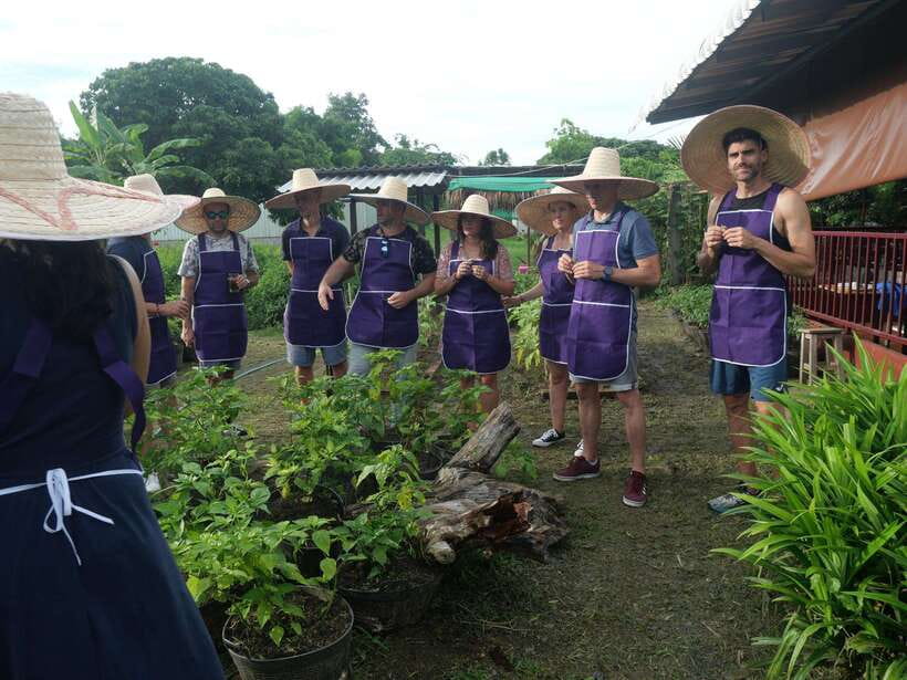 Chiang Mai: Half Day Cooking Class at Organic Farm - A Market-First Cooking Class Where Ingredients Make Sense