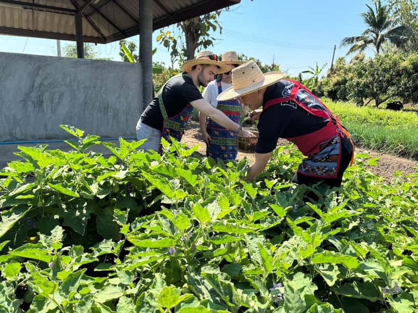 Chiang Mai : Thai Cooking in Farm with a Local Train Trip - Arriving at Mac’s Home Area: Welcome Drinks, Menu Planning, and Garden Ingredients