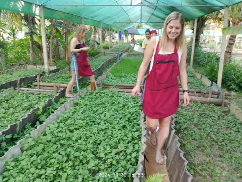 Chiang Rai:Lanna Home Cooking Class at Give Green Farm House - Timing and transport: morning at 9:00 or afternoon at 3:00