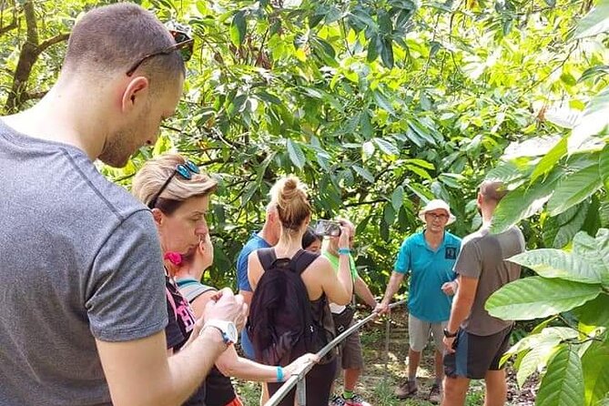 Chocolate and Coffee Tour Farm Don Jorge - Key highlights to look for
