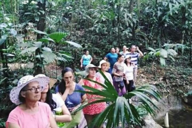 Chocolate and Coffee Tour Farm Don Jorge - Where you’ll start in Alajuela (and why location matters)