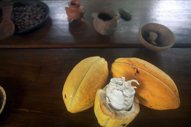 Chocolate and Farm Tour with local Tico family - Cacao Meets Coffee: What This Tour Is Really About