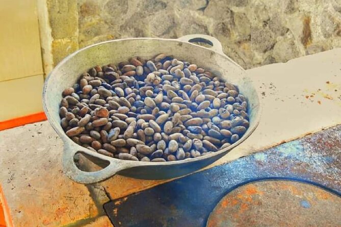 Chocolate and Farm Tour with local Tico family - Organic Farm Details You’ll Actually Talk About