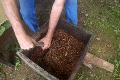 Chocolate and Farm Tour with local Tico family - Getting There From La Fortuna Without Making It Complicated