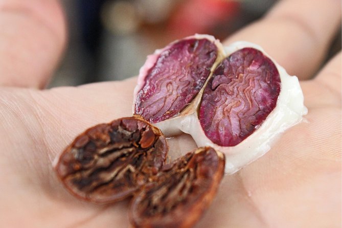 Cocoa farm and Chocolate making! - Getting from Guayaquil to a working cocoa farm