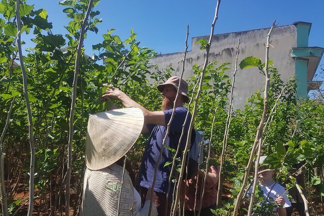 Coffee & Culture Experience _From Farm to Cup by Elon Farm - Harvesting Coffee Cherries in Central Vietnam (Nov–Feb)
