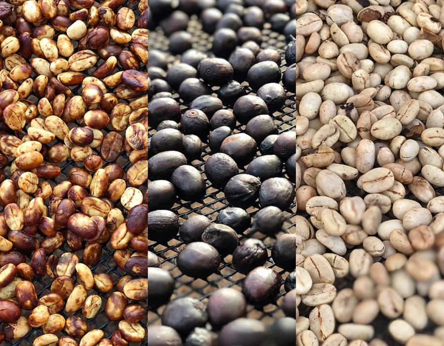 Coffee Farm and Salento Walking Tour - Salento Walking Tour: A Guided Hour to Connect the Town