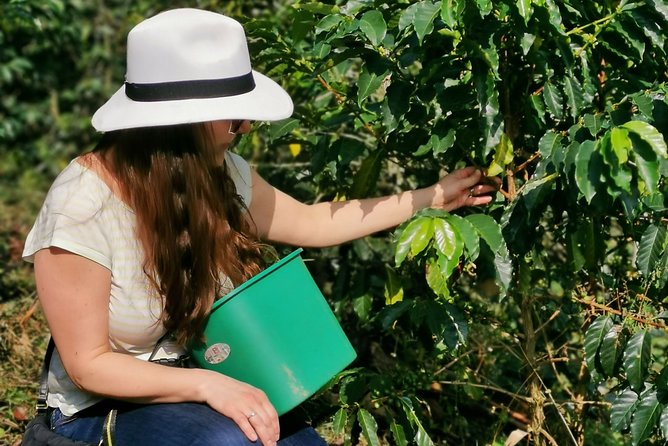 Coffee Farm & ATVs Private Tour in Medellin: Stunning Views & Fun - Key highlights you’ll feel right away