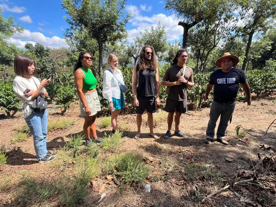 Coffee farm experience - Why a coffee farm tour beats another coffee stop