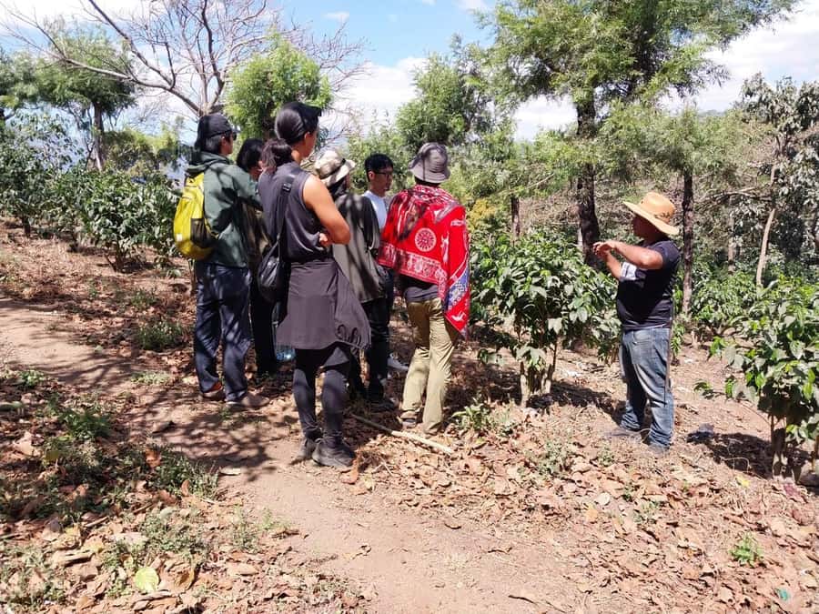 Coffee farm experience - The tasting: simple, included, and geared to what you just learned