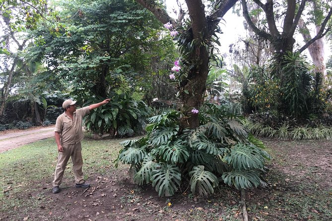 Coffee Farm Experience Private Day Tour - The coffee tasting stage: learning to taste, not just drink