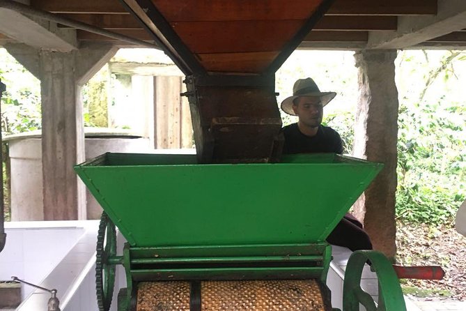 Coffee Farm Experience Private Day Tour - Coffee liquor tasting: the sweet, surprising add-on