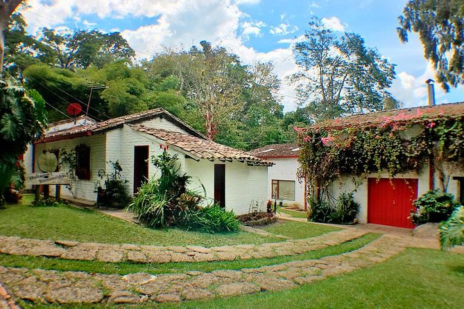 Coffee Farm Experience Private Day Tour - Lunch with the traditional dish option (and food needs)