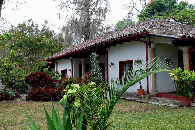 Coffee Farm Experience Private Day Tour - Private guide advantage: tailoring your day without the chaos