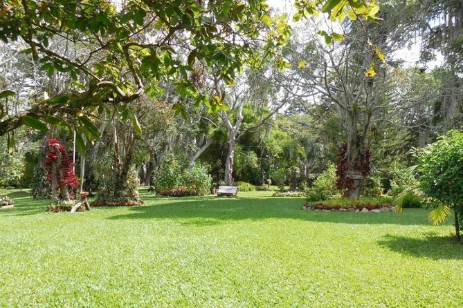 Coffee Farm Experience Private Day Tour - Price and value: is $110 per person fair for what you get?