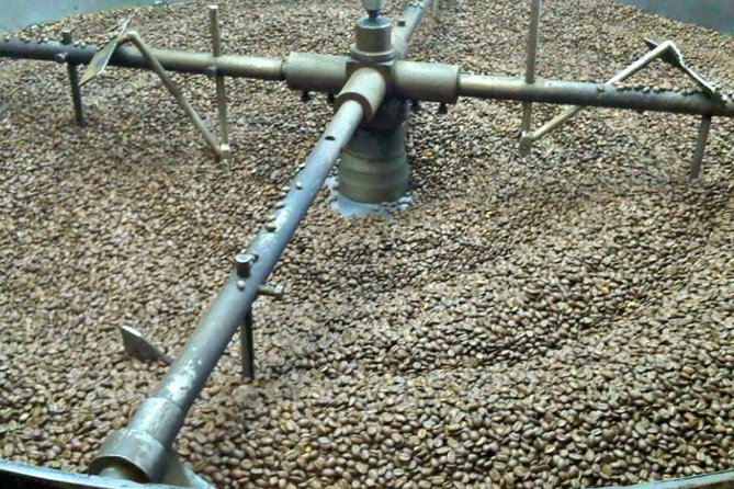 Coffee Farm Experience Private Day Tour - Hacienda Coloma: Orchids, coffee plants, and that real farm feeling