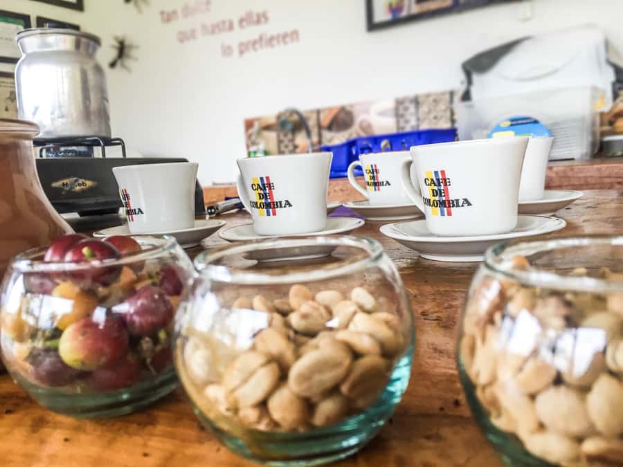 Coffee Farm Tour at Finca El Ocaso from Salento - From Salento to the coffee fields: what the 3-hour experience feels like