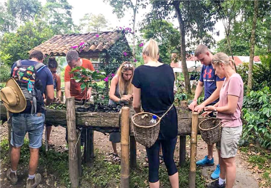 Coffee Farm Tour at Finca El Ocaso from Salento - The coffee culture lesson: history that actually links to what you see