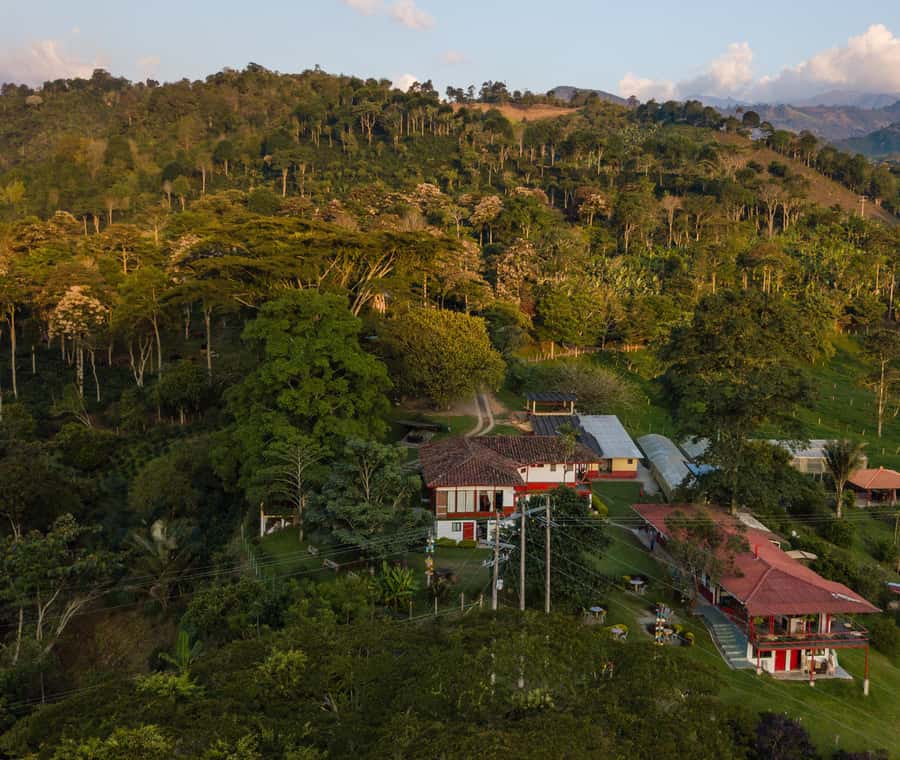 Coffee Farm Tour at Finca El Ocaso from Salento - From bean to brew: what you’ll learn in the production steps