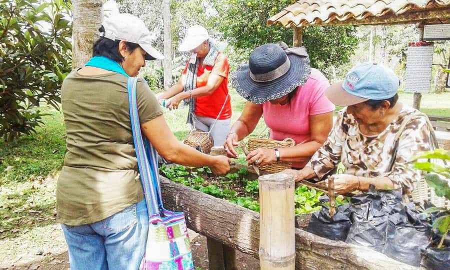 Coffee Farm Tour at Finca El Ocaso from Salento - The guided coffee tasting: spotting aromas, flavors, and brewing differences