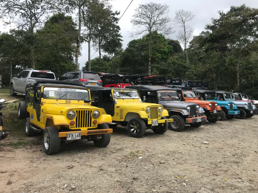 Coffee Farm Tour at Finca El Ocaso from Salento - Price and value: is $93 worth it for a Salento coffee farm tour?