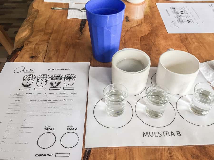Coffee Farm Tour at Finca El Ocaso from Salento - Should you book the Coffee Farm Tour at Finca El Ocaso?