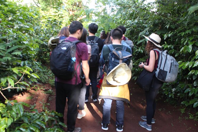 Coffee farm tour, coffee roasting and tasting experience - Roast Your Own Beans: The Hands-On Part That Makes It Stick