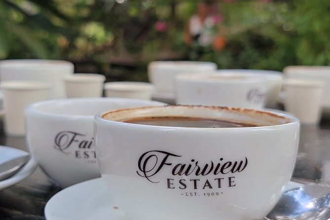 Coffee Farm Tour (Fairview) - Fairview Coffee Estate in Kiambu: why the setting matters