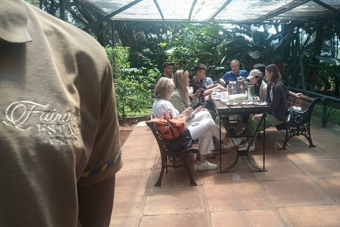 Coffee Farm Tour (Fairview) - The tasting: four grades, a blind test style, and your own favorite