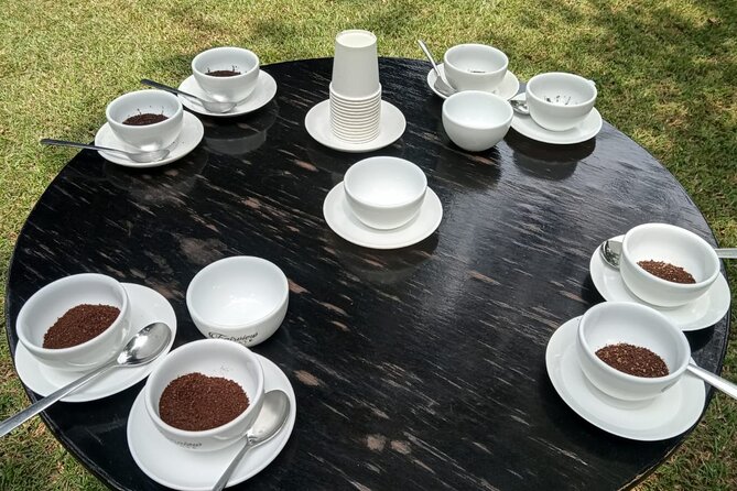 Coffee Farm Tour (Fairview) - Price and logistics: what your $39 really covers