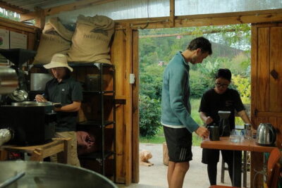 Coffee Farm Tour with Roasting & Tasting Workshop - Da Lat - From plantation to roastery: what you learn in one focused session