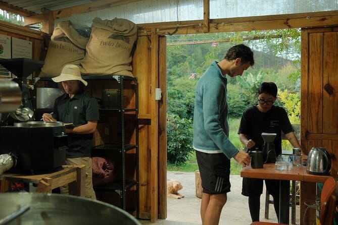 Coffee Farm Tour with Roasting & Tasting Workshop - Da Lat - From plantation to roastery: what you learn in one focused session