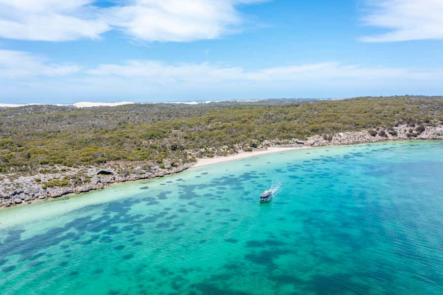 Coffin Bay: Oyster Farm Boat Tour with Wading & 12 Oysters - The oyster farm wading part: the real reason to book
