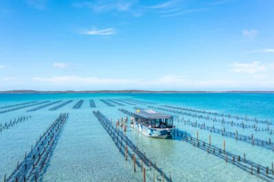 Coffin Bay: Oyster Farm Boat Tour with Wading & 12 Oysters - The cruise out: dolphins, calm water, and getting your bearings