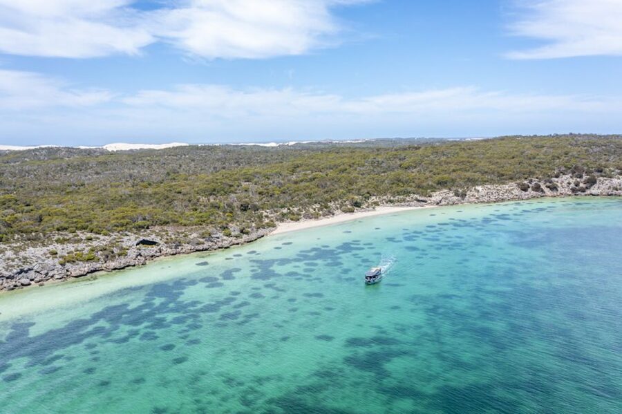 Coffin Bay: Oyster Farm Boat Tour with Wading & 12 Oysters - Brother’s Island seals: seeing wildlife without leaving the route