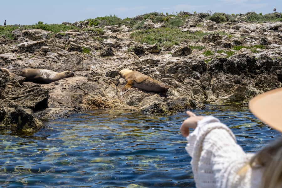 Coffin Bay: Oyster Farm Boat Tour with Wading & 12 Oysters - Beer, spirits, wine, and food tasting: a short stop with variety