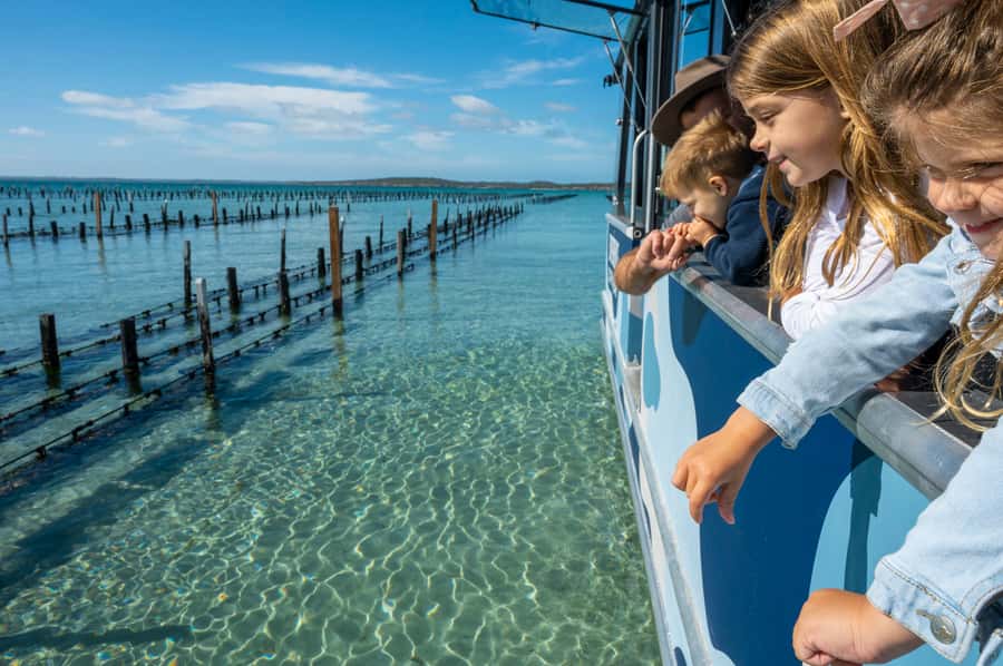 Coffin Bay: Oyster Farm Boat Tour with Wading & 12 Oysters - Final cruise and back to the marina