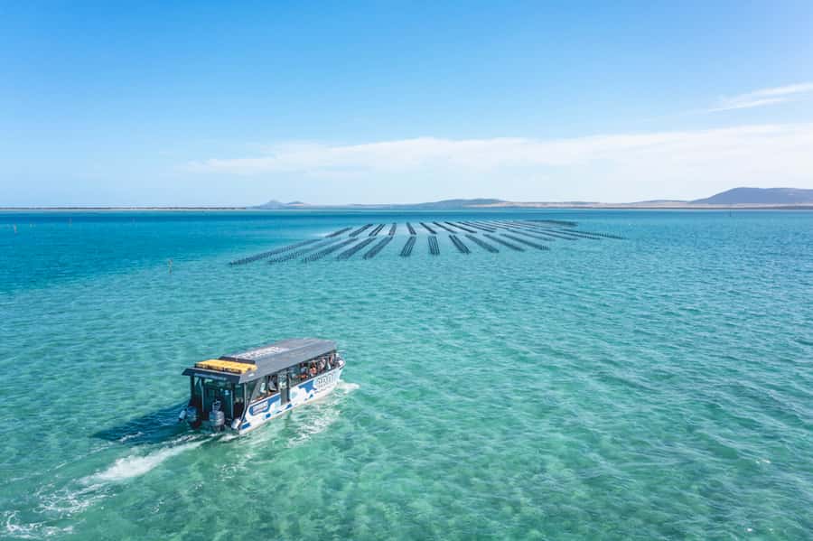 Coffin Bay: Oyster Farm Boat Tour with Wading & 12 Oysters - Price and value: is $130 for 3 hours worth it?
