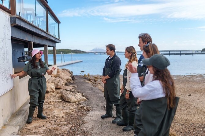 Coffin Bay Oyster Farm Wading Tour & Tasting Experience - Oyster Farming 101 From Spat to Market Size
