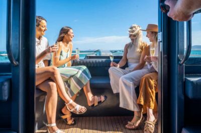 Coffin Bay: Short and Sweet Oyster Farm Tour - The 15-minute sightseeing cruise: views plus dolphin odds