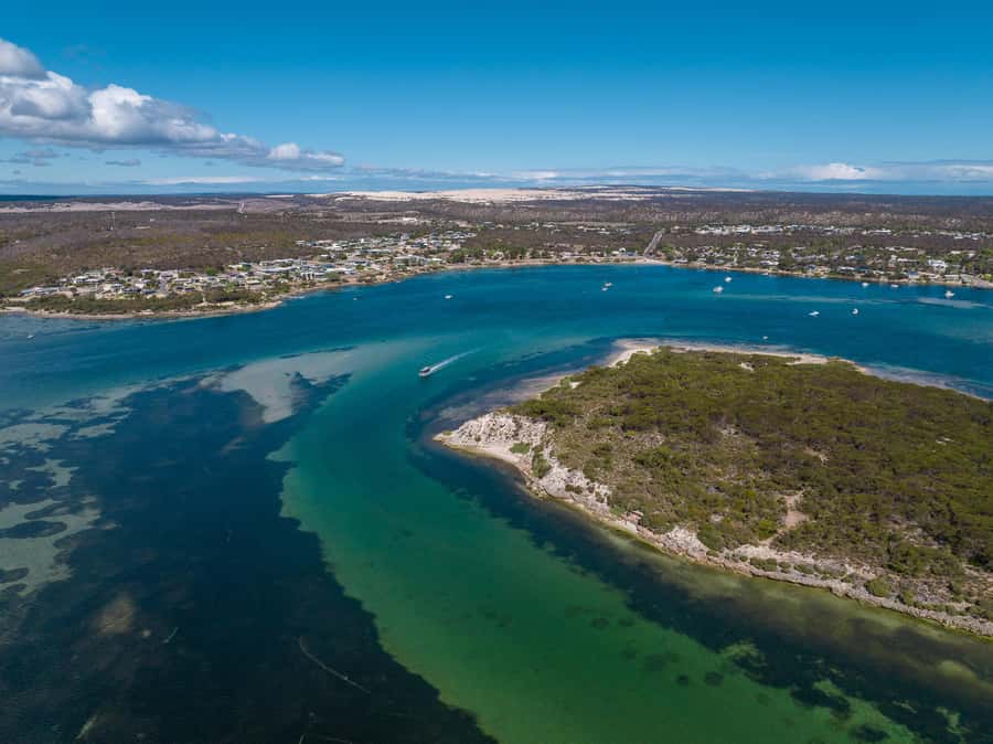 Coffin Bay: Short and Sweet Oyster Farm Tour - Shucking lessons that actually help (and keep things less messy)