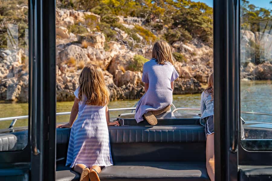 Coffin Bay: Short and Sweet Oyster Farm Tour - Native Angasi oyster reef restoration: the science behind the seafood