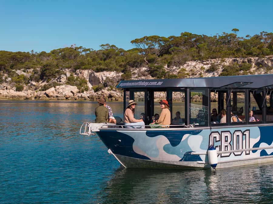 Coffin Bay: Short and Sweet Oyster Farm Tour - The second cruise segment: calm return, not a marathon