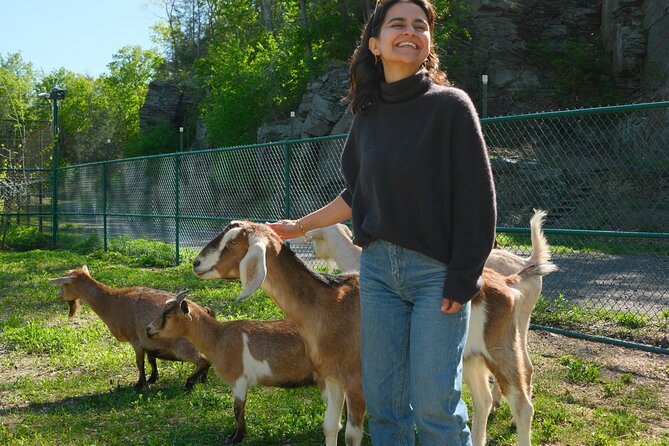 Connect with Rescue Animals on a Private Farm Tour in Catskills - Entering the farm: meeting point, pacing, and what to bring