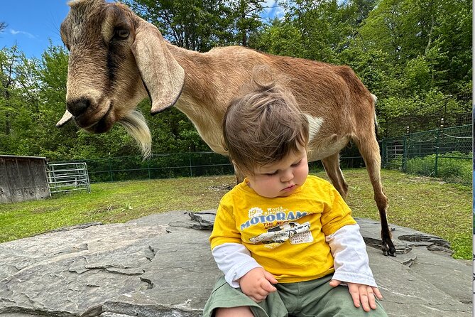 Connect with Rescue Animals on a Private Farm Tour in Catskills - Price and value: $97.50 per group for up to 6