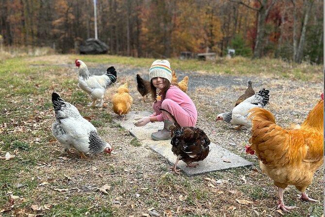 Connect with Rescue Animals on a Private Farm Tour in Catskills - Where this fits on a Catskills day